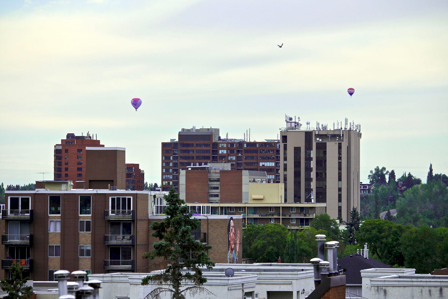 Two hot air balloons in the distance over apartment buildings in Mission with large art mural of man on the side of one building with his hand reaching up to the sky. Also, a bird flying in between the two balloons.