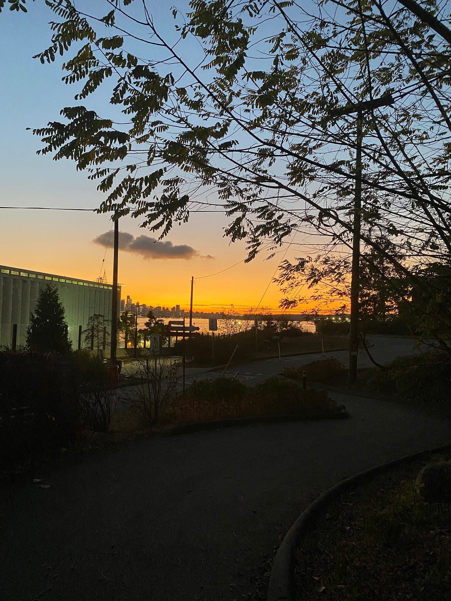 A faraway view of the Vancouver skyline from the North Shore, the sunset orange and gold behind it. A single fluffy cloud floats above it. In the foreground is a dim view of a paved bike path, framed by the leaves of a hawthorn tree.