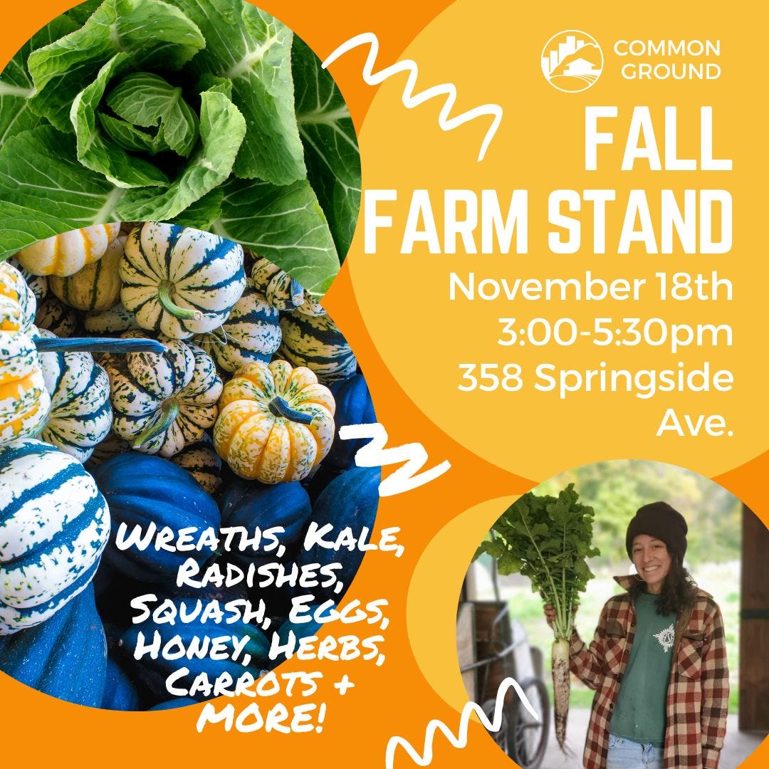 May be an image of 1 person and text that says 'COMMON GROUND FALL FARM STAND November 18th 3:00-5:30pm 358 Springside Ave. WREATHS, KALE, RADISHES, SQUASH, EGGS, HONEY, HERBS, CARROTS MORE!'