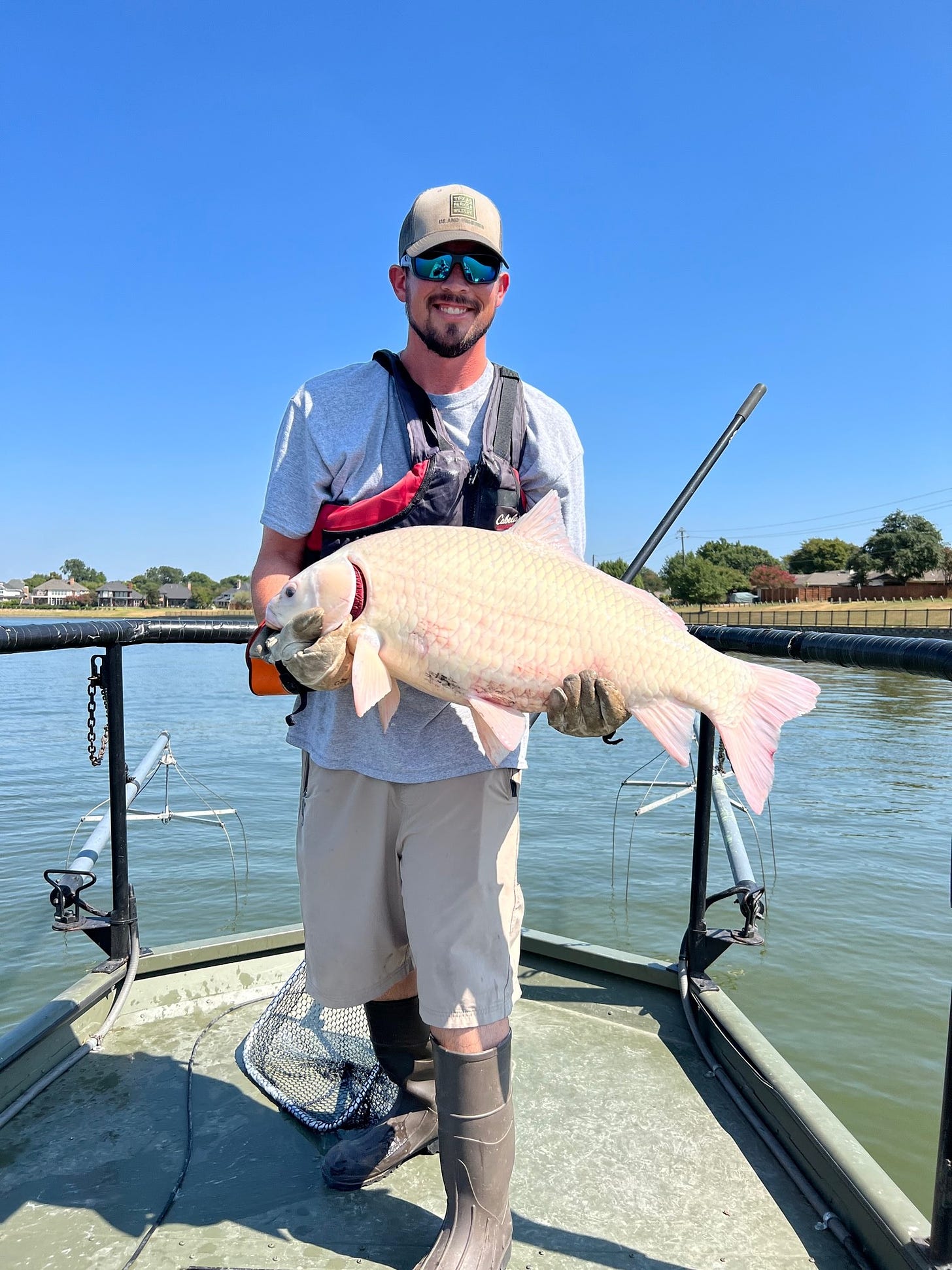 A man holding a 30-pound fish with white skin