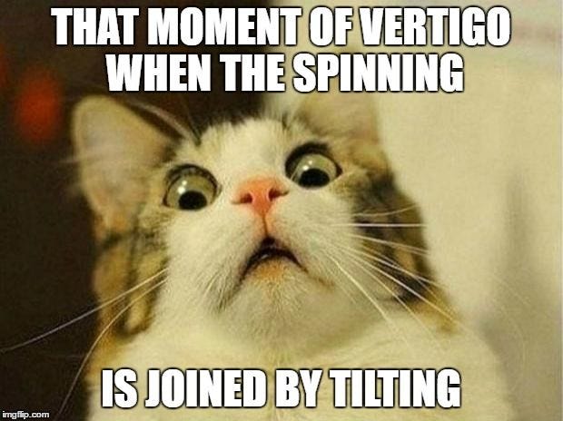 When the merry-go-round becomes tilt-o-whirl. Life with vertigo. | Teacher  memes funny, Funny thanksgiving memes, Teacher humor
