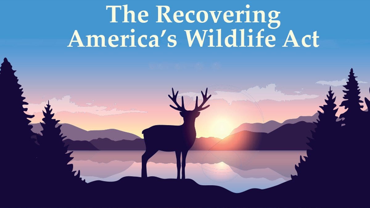Rep. Debbie Dingell on Twitter: "Today's the day! The Recovering America's  Wildlife Act will have it's first hearing of this Congress. This bipartisan  legislation will help protect the wildlife that is dying