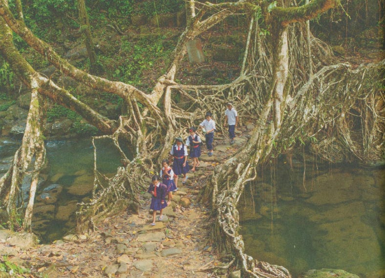 Six Khasi children, wearing school uniforms, cross in single file a bridge made of tree roots.