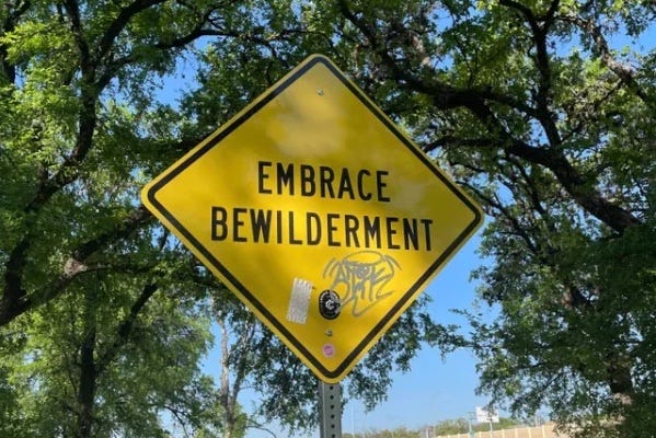 A sign diamond-shaped yellow sign with, "Embrace Bewilderment" against a background of blue sky and tree branches