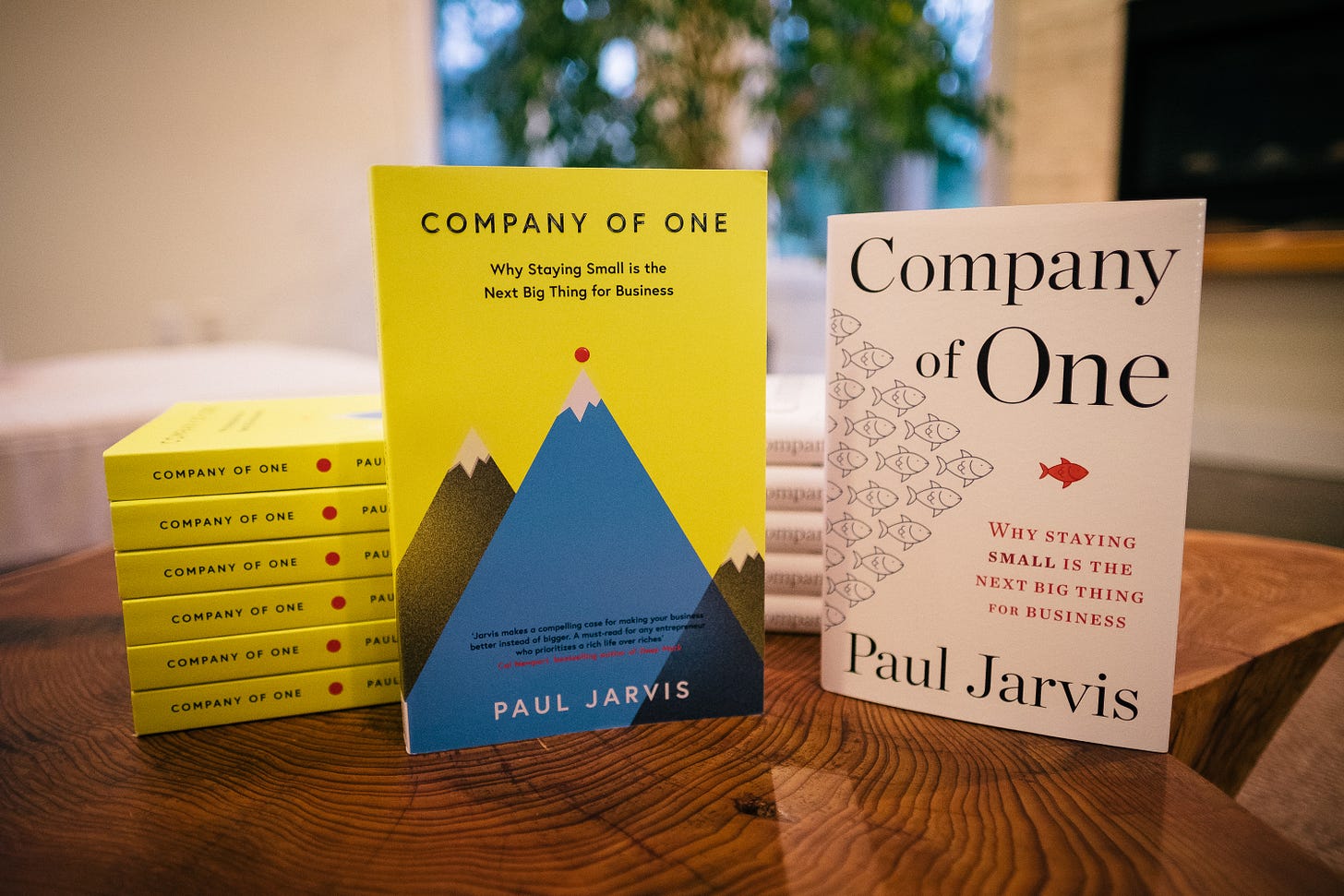 Company of One – Why staying small is the next big thing for ...