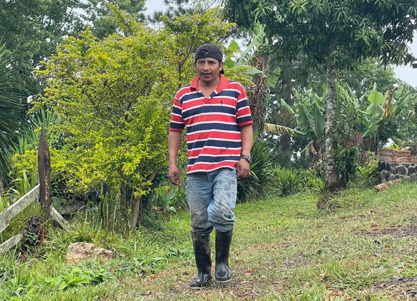 A farmer in tall, black, rubber boots, jeans and a red and blue striped polo shirt walks through the grass along a wooden fence surrounded by lush, green foliage.