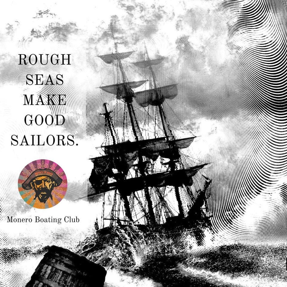 r/moonero - Rough seas make skilled sailors
