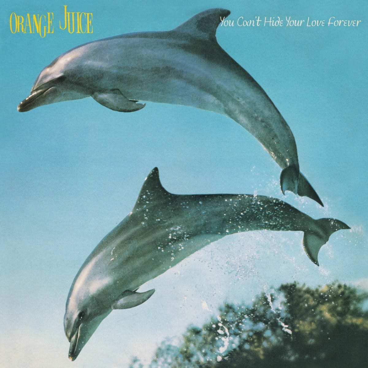 Orange Juice - You Can't Hide Your Love Forever (CD) | Domino Mart - Domino