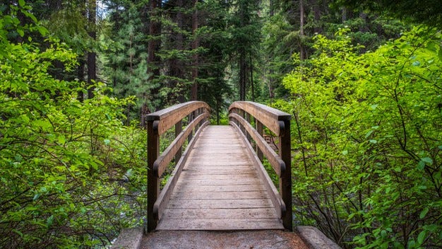 Footbridge in the forest Free Photo