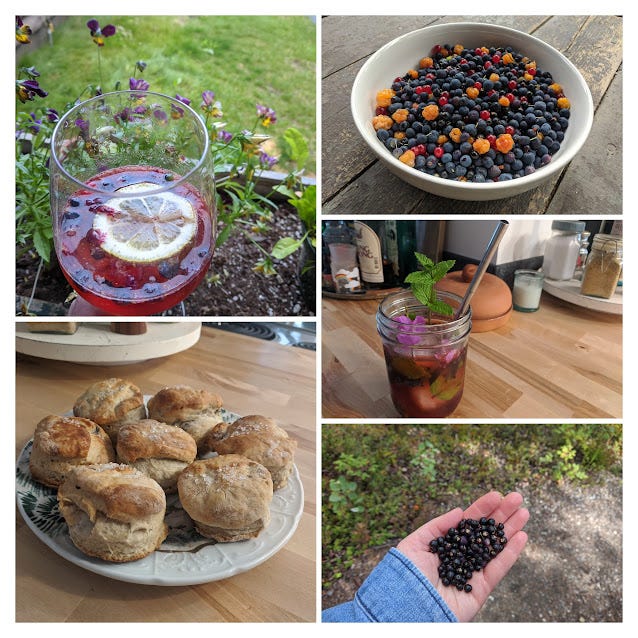 1) summer berry spritz 2) another round of berry sorting 3) blueberry mojito mocktail w/ garden mint 4) crowberries 5) sourdough ‘shortcake’ biscuits to accompany berries & silken tofu creme