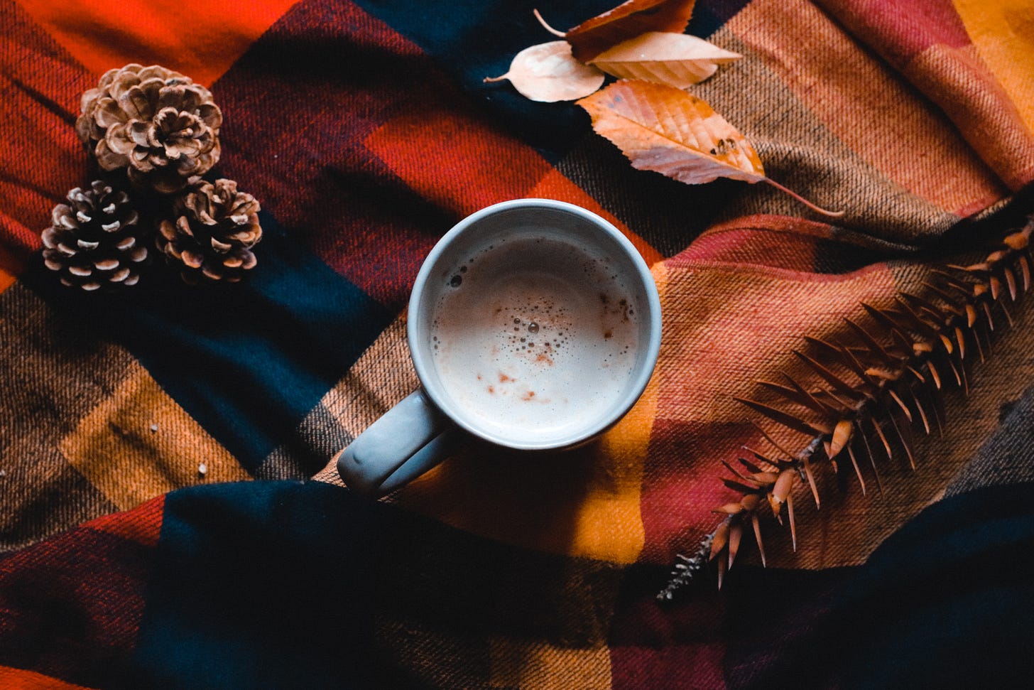 cup of hot coffee on a plaid autumn colored red, yellow, blue picnic blanket with a few pinecones 