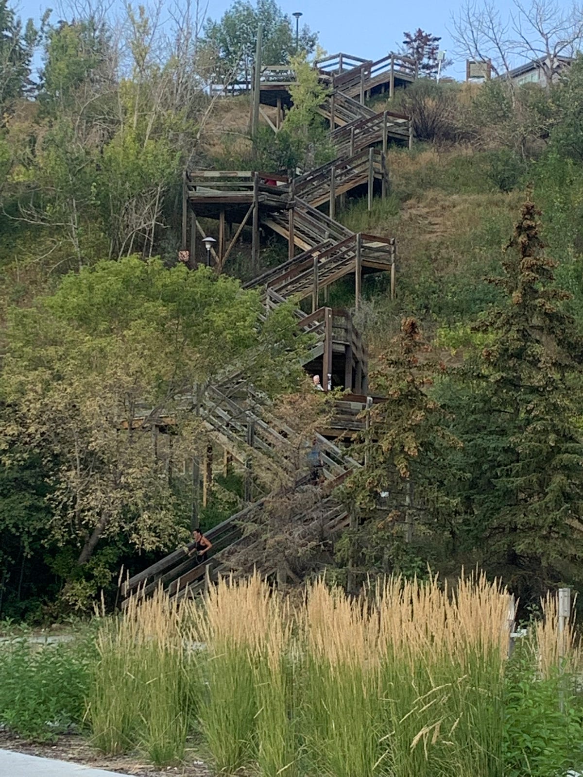 Super steep wooden staircase with many, many flights. A challenging workout!