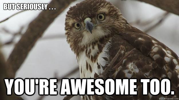Seriously, you're awesome too. | You're awesome, Memes, Awesome