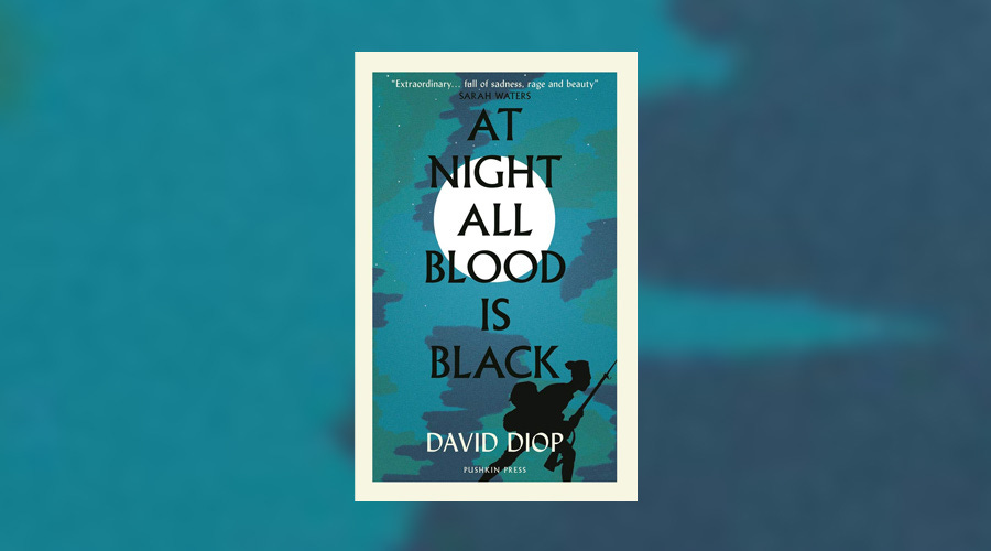 Book Review: At Night All Blood Is Black by David Diop - Culturefly