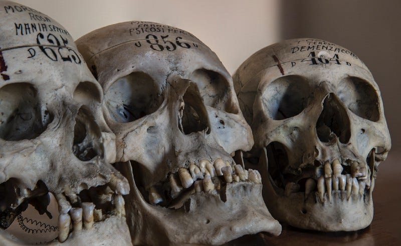 three human skulls