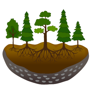 "Protect Forests" resilience climoji.