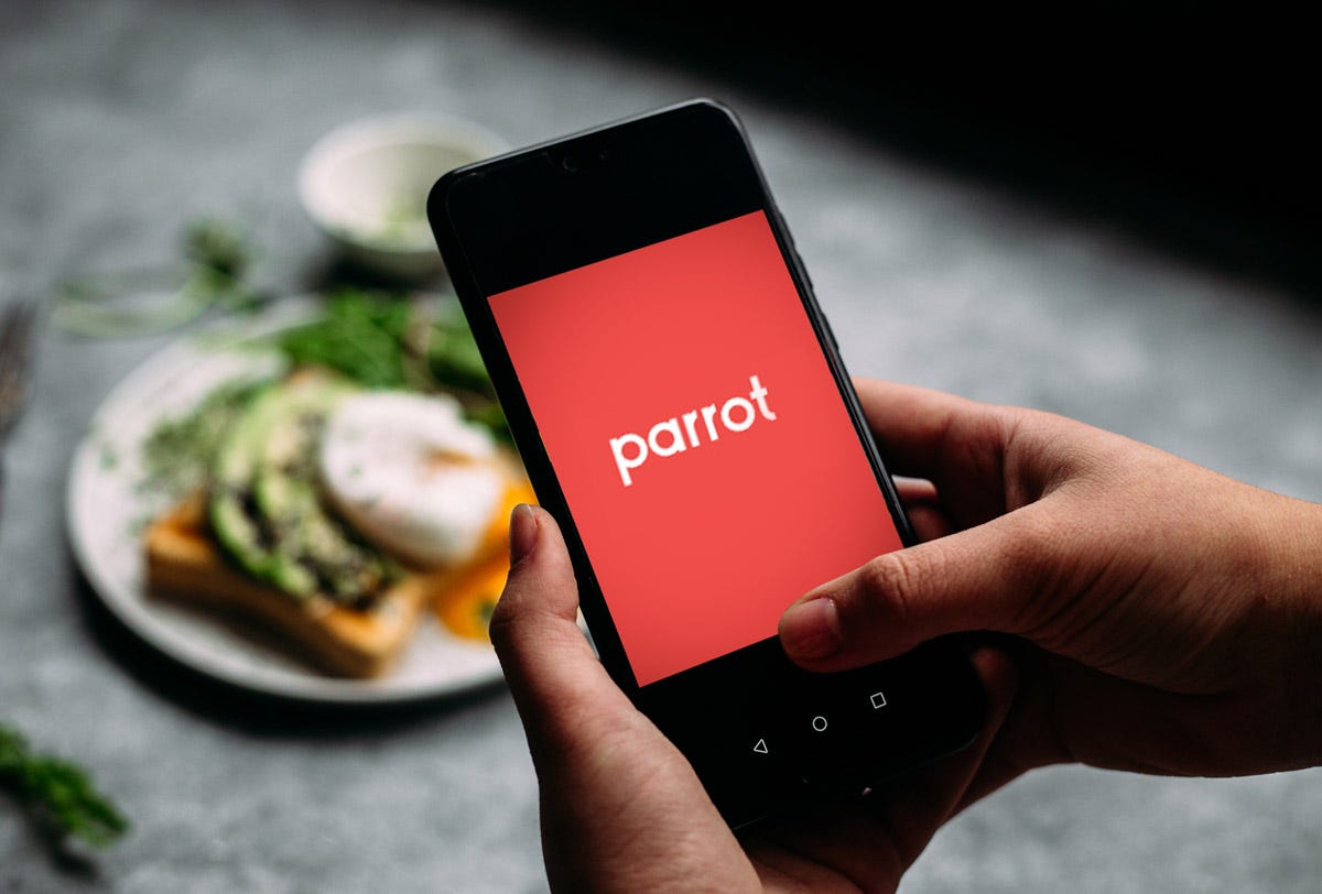 La startup mexicana Parrot recauda 9.5 mdd para digitalizar el sector  restaurantero