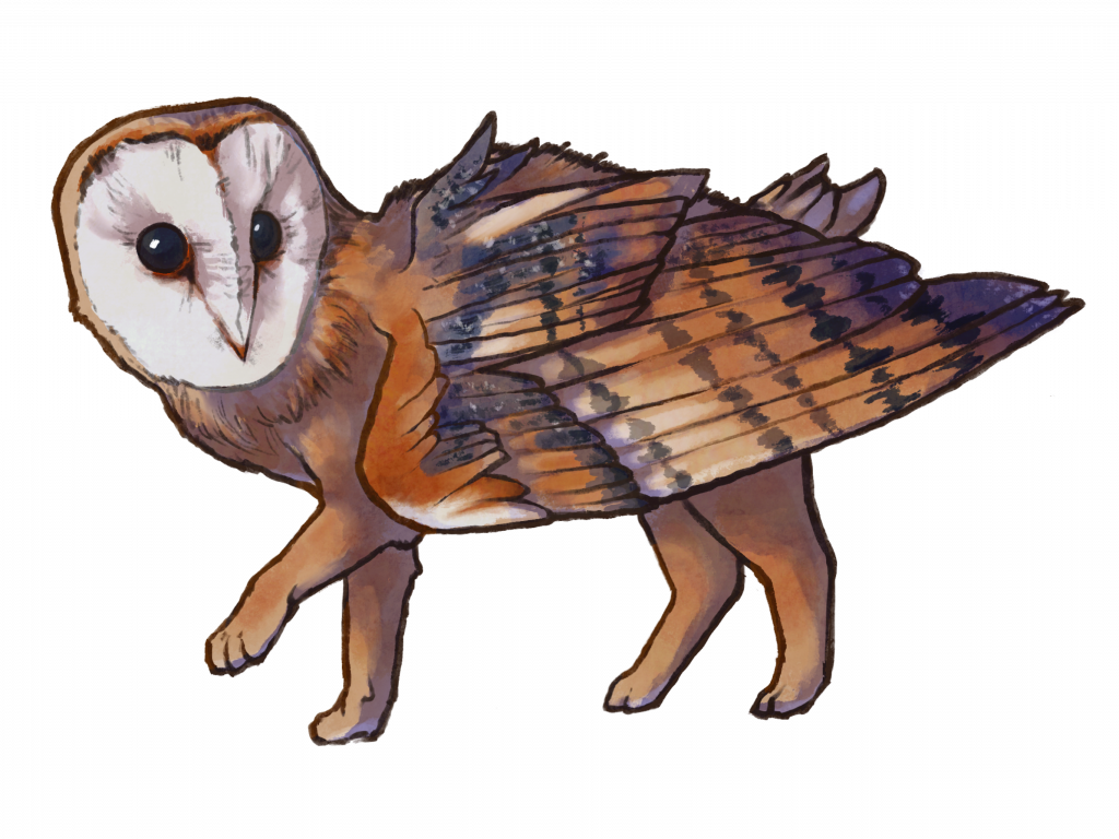 Hoodini the owl-gryphon