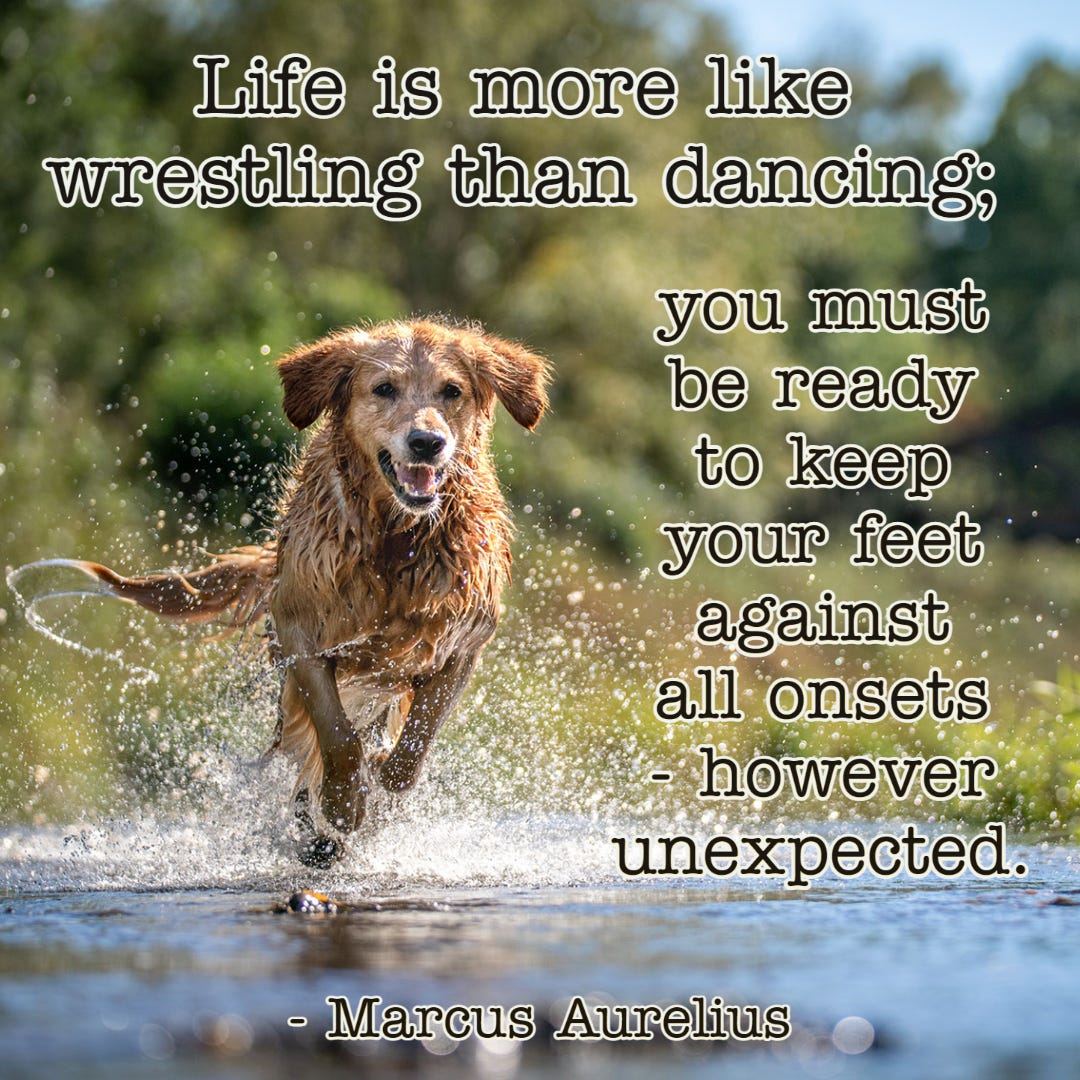 "Life is more like wrestling than dancing; you must be ready to keep your feet against all onsets - however unexpected."  Marcus Aurelius
