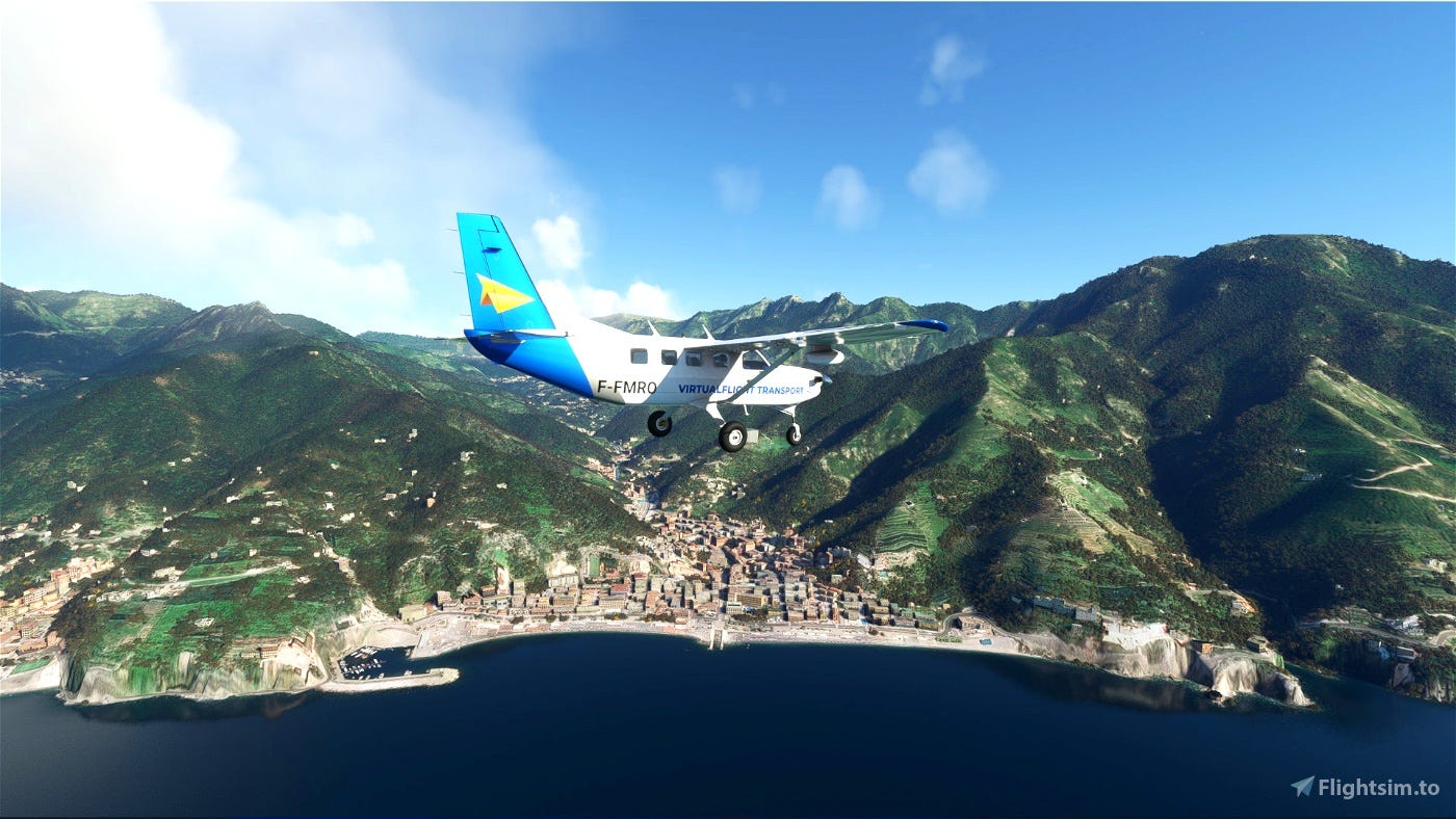 Daher Kodiak 100 Series II - VirtualFlight Transport Livery Pack Microsoft Flight Simulator