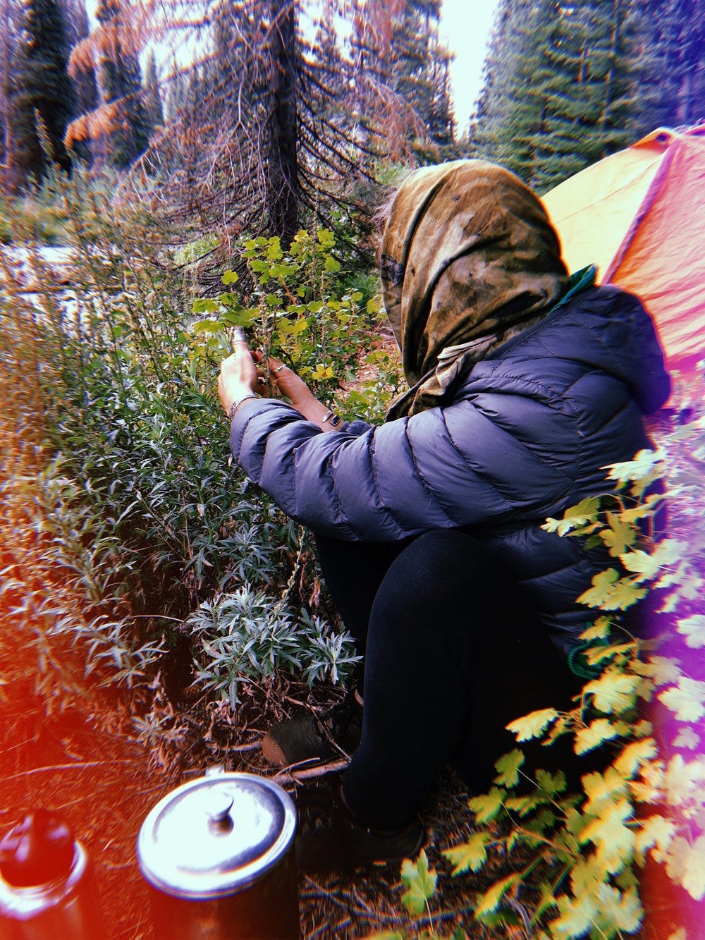 Erin with Mugwort at our first campsite.