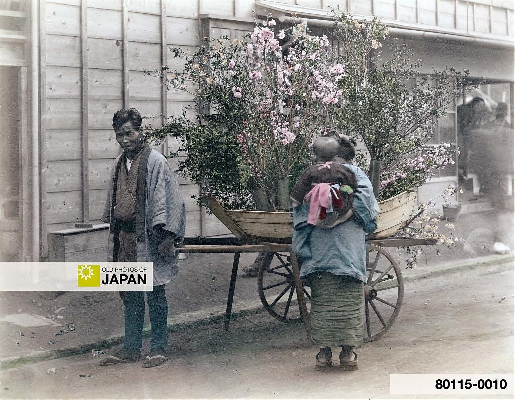 80115-0010 - Japanese Flower Peddler, 1890s