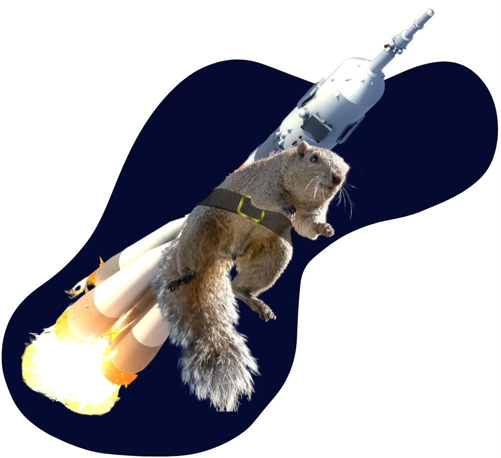 A squirrel attached to a rocket