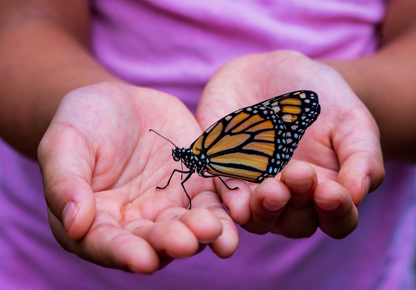 This child was delighted when a butterfly landed in her hands.
