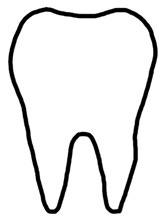 Tooth