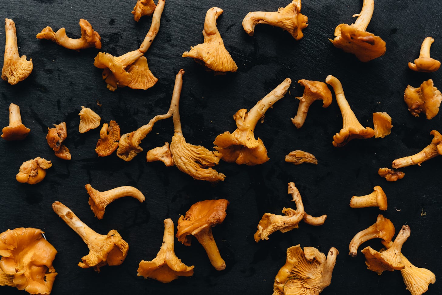 picture of chantrelle mushrooms cleaned up for cooking