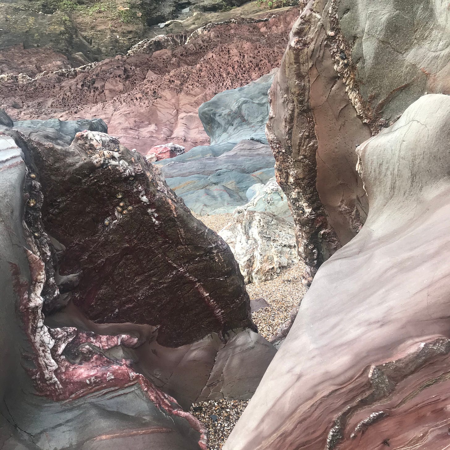 A photo of rock formations on a Devon beach. The rocks are red and grey with lines of sediment