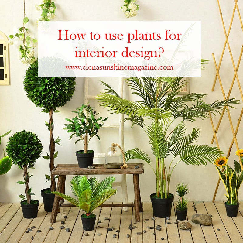 How to use plants for interior design?
