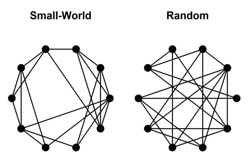 A small-world network and a random network. Adapted from ...