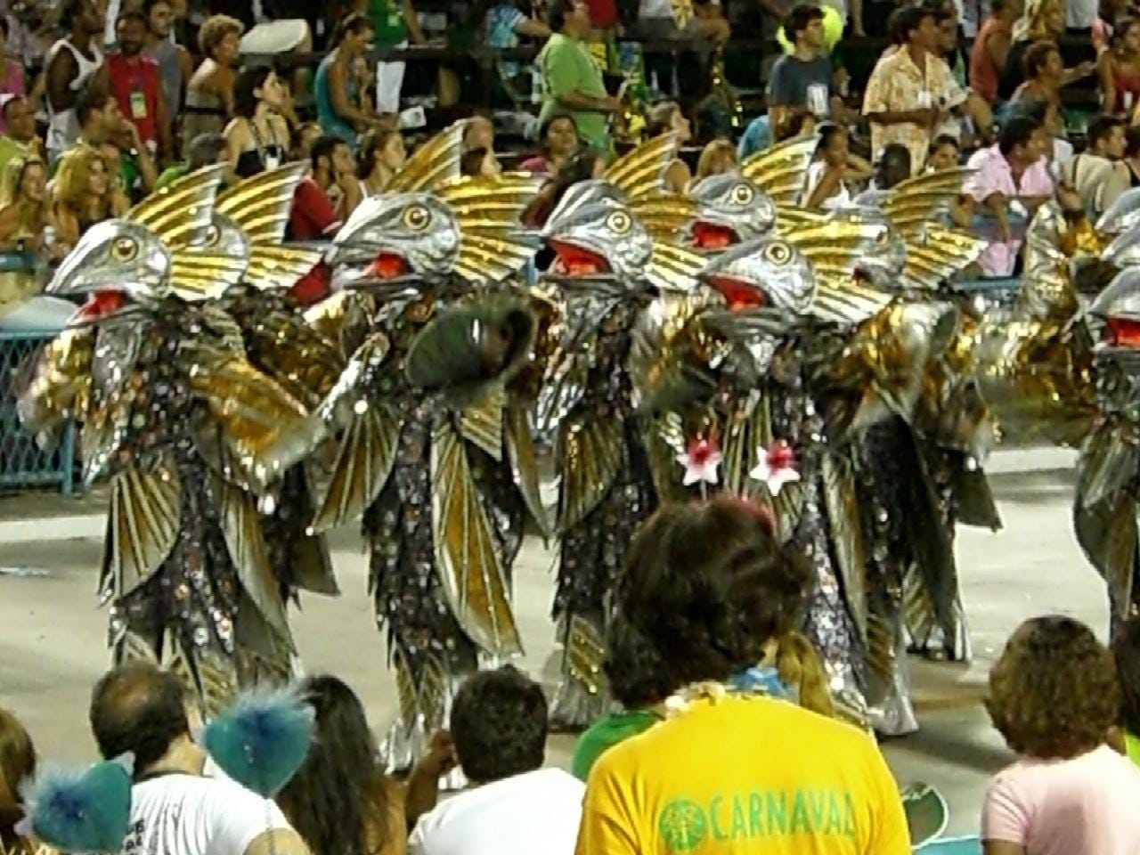Samba school... of fish!
