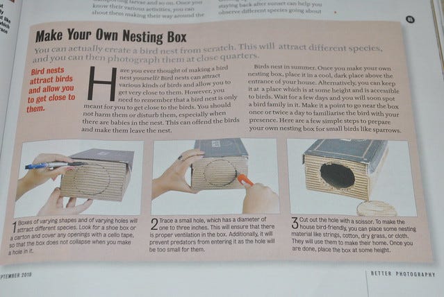 Make your own Nesting Box