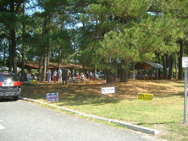 A long-range shot taken of the entire picnic setup.