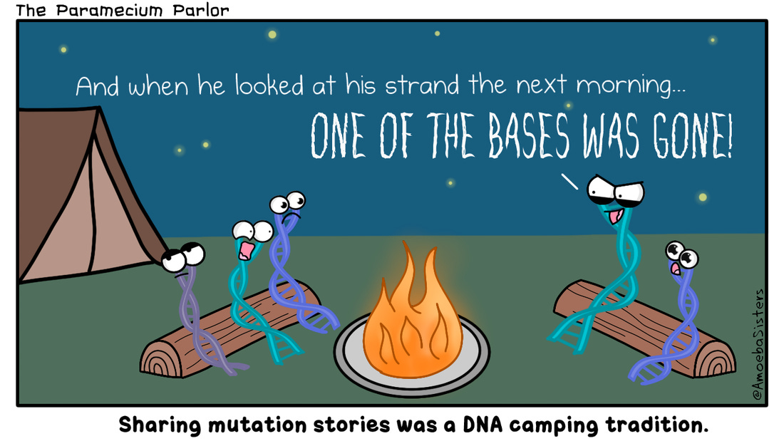 DNA Mutation Comic - Science with The Amoeba Sisters