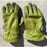 A pair of green gloves

Description automatically generated with low confidence