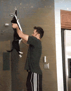 Gif of a guy lifting up a black and white cat. It transition to an animation of the cat flying up into space.