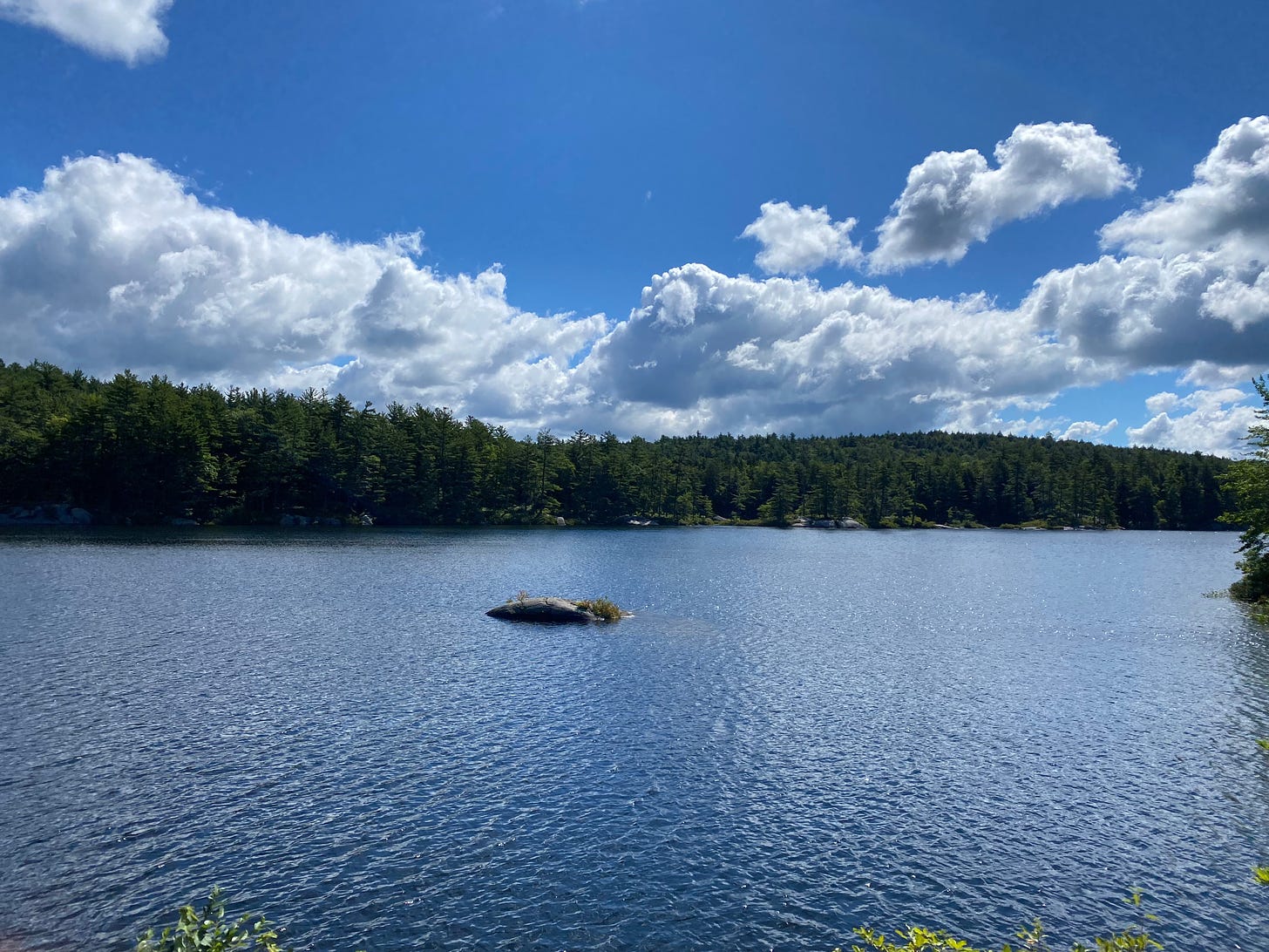 View of a wide blue pond surrounded by evergreen trees on its far bank, under a deep blue sky filled with big white clouds.
