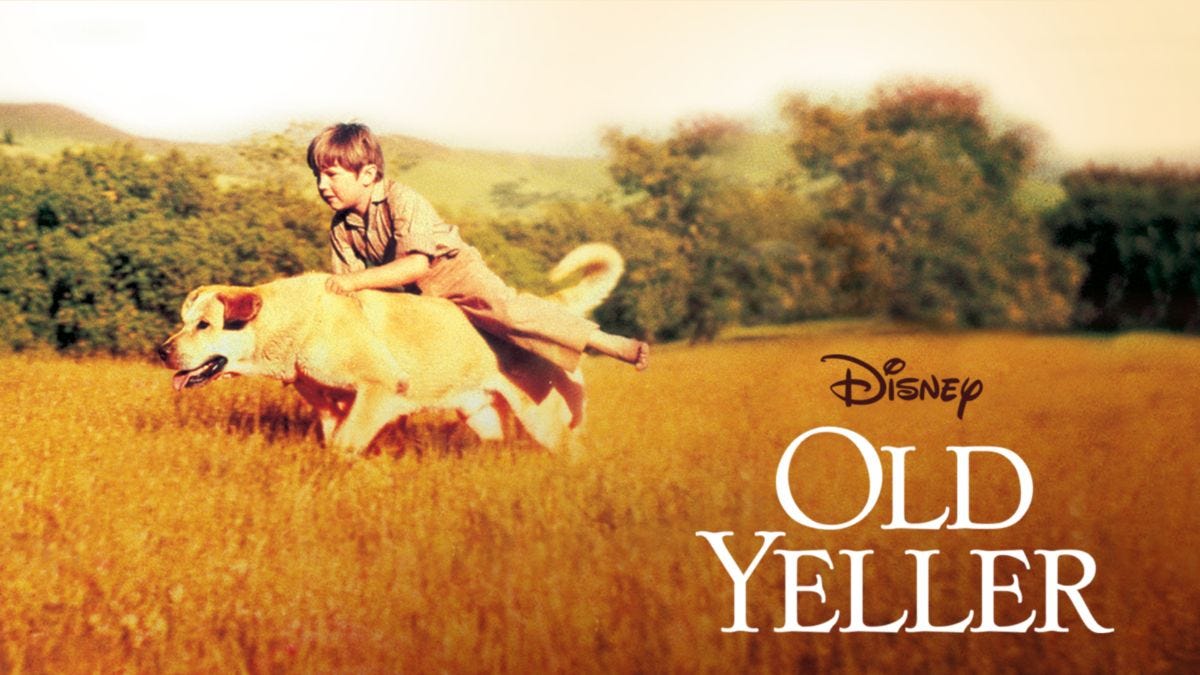 old yeller | What&#39;s On Disney Plus