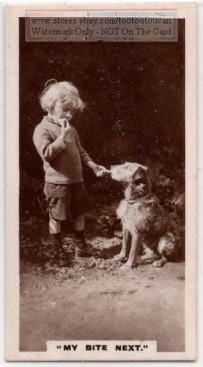 Young Boy Sharing His Food With His Dog Pet 1920s Trade Ad Card | eBay