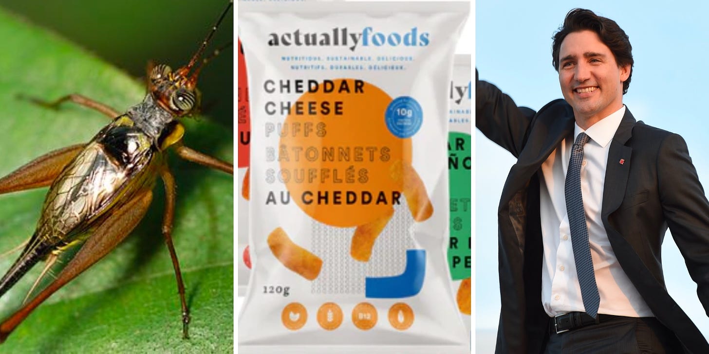 Canadian snack foods now made with CRICKETS as primary ingredient