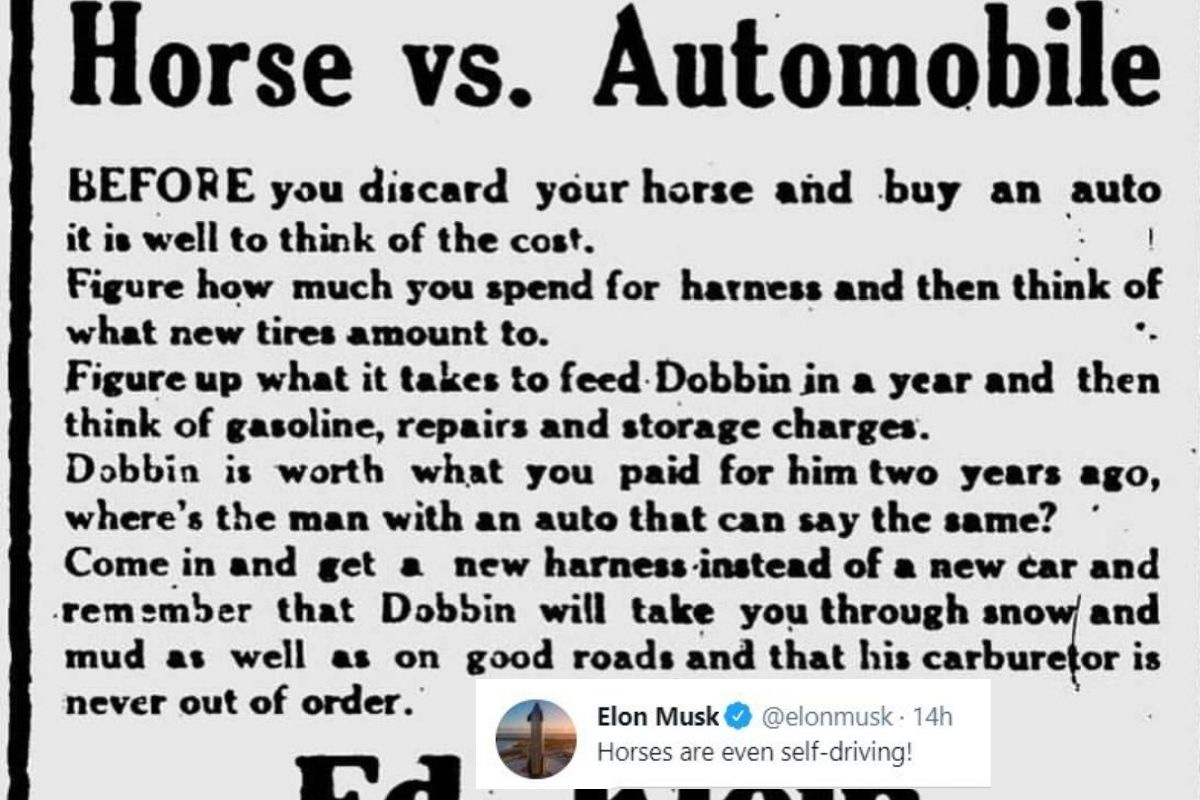Not Just Teslas, Elon Musk Explains How Horses Too Are 'Self Driving  Vehicles'