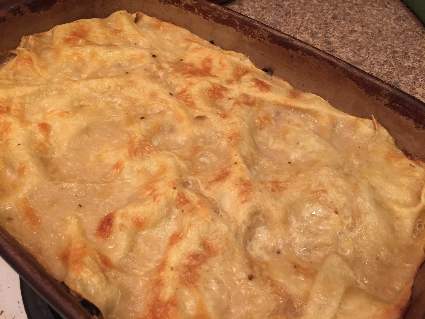 A lasagna with white sauce and browned cheese on top in a stoneware pan.