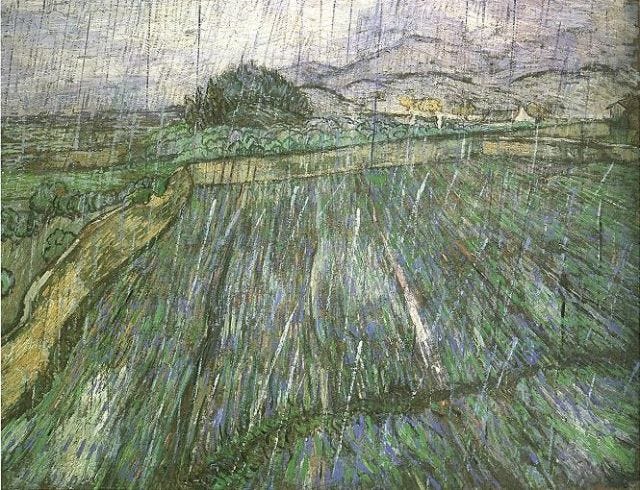 Wheat Field with rain