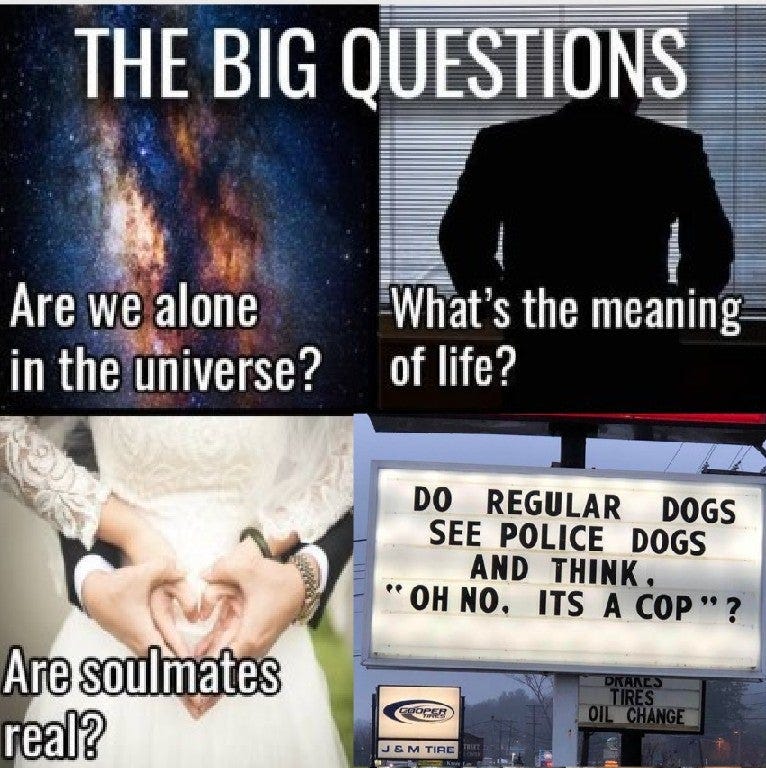 Title: The Big Questions. Image split into four sections as follows; Section 1 is an image of the galaxy with the caption "Are we alone in the universe?" Section two is a man standing facing blinds silhouetted with the caption "What's the meaning of life?" Section three is an image of a bride and groom, hands clasped in front in the shape of a heart with the caption "Are soulmates real?" and the last section is a billboard with the caption "Do regular dogs see police dogs and think Oh No It's a Cop?"