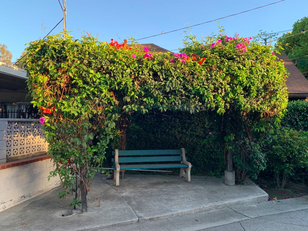 A green bench sits under a lush archway of greenery, with a couple dozen pink and purple blooms, set beneath a clear blue sky.