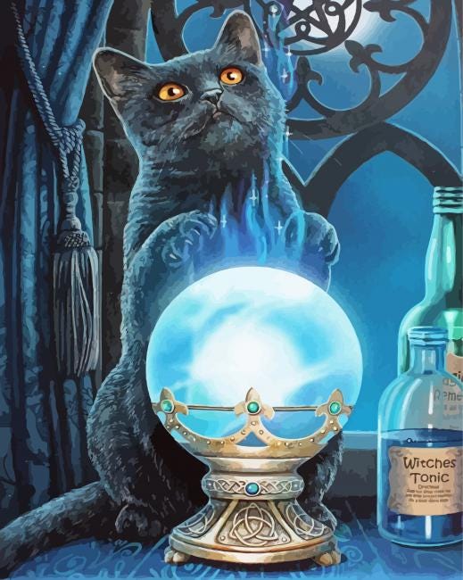 Aesthetic Black Cat With Crystal Ball - Paint By Number - NumPaints - Paint  by numbers
