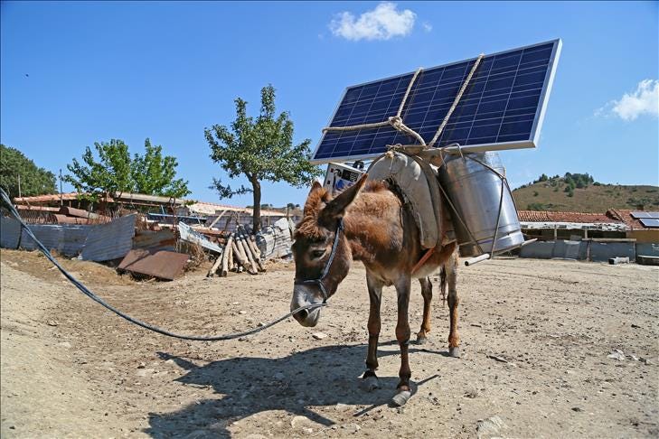 Donkeys carry solar panels in Turkish mountains